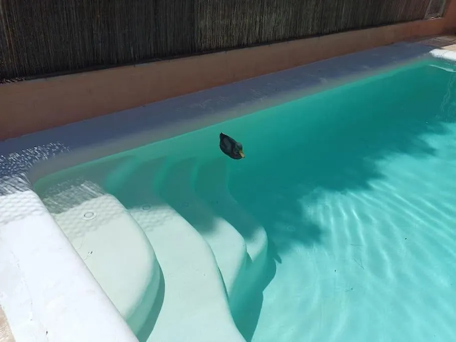 B&B Mar Y Montana Privado Con Piscina No Cocina Orrius Spain